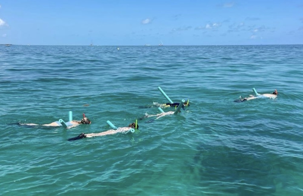 Top Snorkeling Spots for Viewing Colorful Coral and Fish